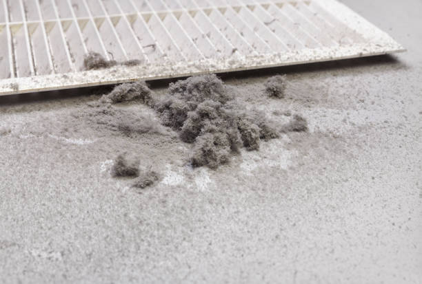 Best Air Duct Cleaning Near Me  in Gibson City, IL