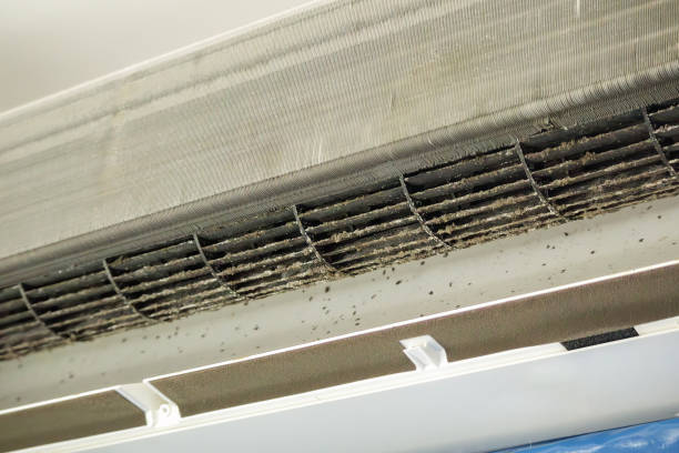 Best Ventilation Cleaning Services  in Gibson City, IL